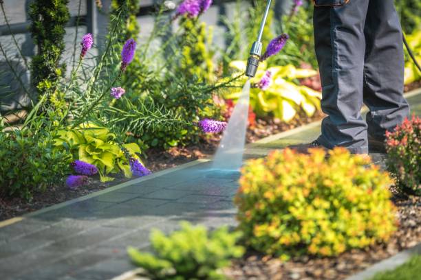 Best Patio and Deck Pressure Washing  in Northford, CT