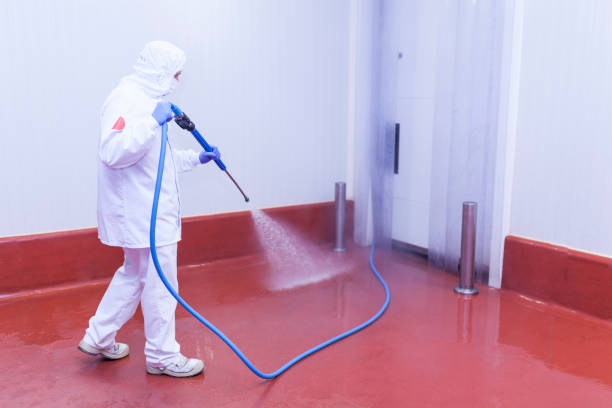 Best Roof Washing  in Northford, CT