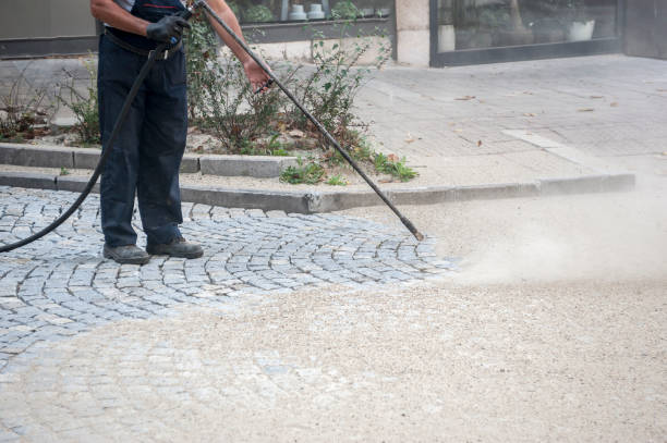 Best Pre-Holiday Cleaning  in Northford, CT